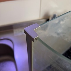 水槽、砂 譲ります！の画像