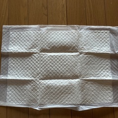 ペットシート　薄型　45×30(吸水帯38×27)の画像
