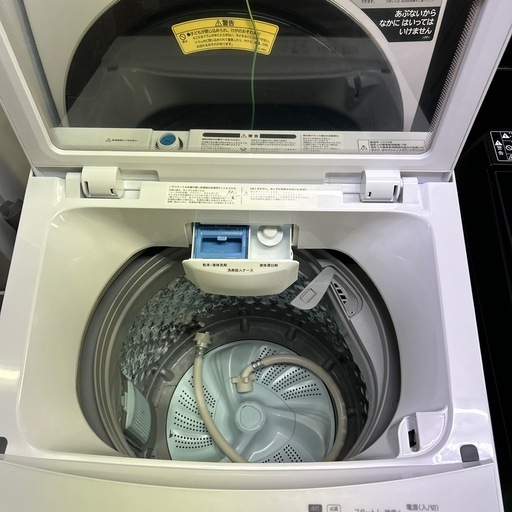 【済】ニトリ 洗濯機 6.0kg NT60L1WH 2024年製