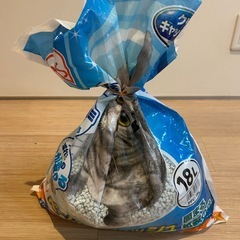 猫用トイレと余った猫砂の画像