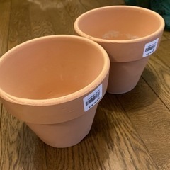 【新品】素焼き鉢深5号2個セットの画像