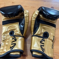 ボクシング　キックボクシング　グローブ　キッズ　6号の画像