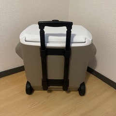 コールマン クーラーボックスの画像