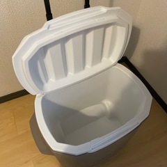 コールマン クーラーボックスの画像