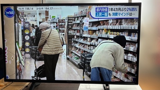 パナソニック TH-43FX500