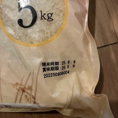 お米　5Kgの画像