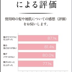 【無料】中古・2017年製】サテニーク　バランスイオン ヘアドライヤーの画像