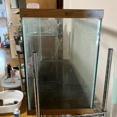 水槽の画像
