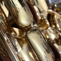 YANAGISAWA A-WO1 アルトサックスの画像