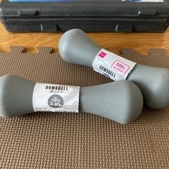 【引渡先決定】【差し上げます】ダンベル(最大10kg×1、2kg×2)セットの画像