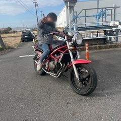 バンディット250の画像