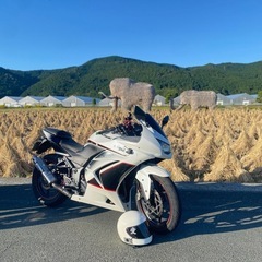 ninja 250r ニンジャの画像