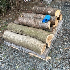 丸太　薪　紅葉樹ミックス　の画像