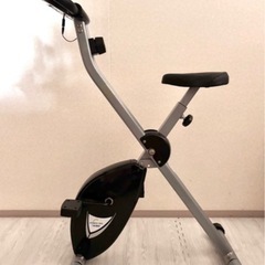 エアロバイク ALINCOの画像