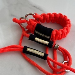 犬用カラー＆リードの画像