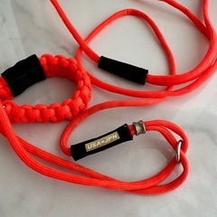 犬用カラー＆リードの画像