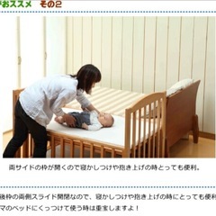 ベビーベット　ヤマサキの画像