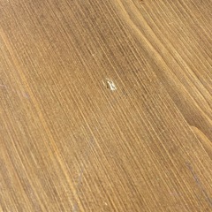 ベンチ　椅子の画像