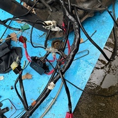 シグナス1型の画像