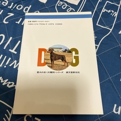 3月8日まで‼️ドーベルマン❣️の画像