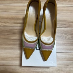 EIZOのパンプスの画像