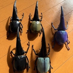 等身大ヘラクレスフィギュアの画像