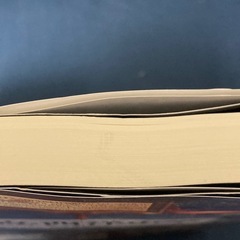 本『論点・西洋史学』の画像