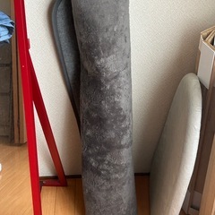 【取引中】
ライト付き鏡+カーペットの画像