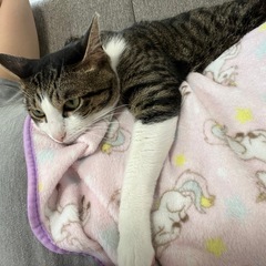 可愛がってくれる方探してます