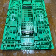 オリコンの画像