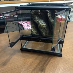 爬虫類水槽の画像