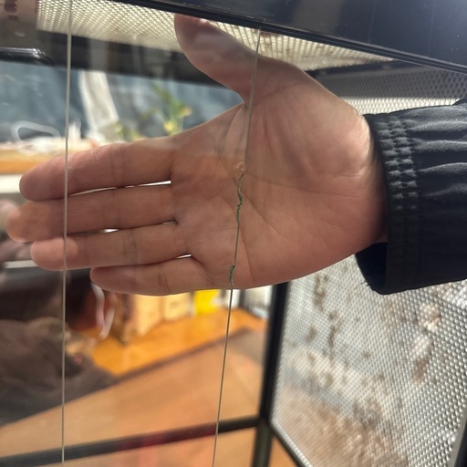 爬虫類水槽