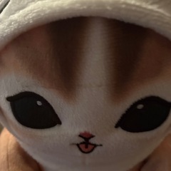 猫　ぬいぐるみの画像
