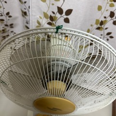 扇風機‼️の画像