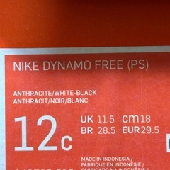 ナイキダイナモフリーPS(18cm)の画像