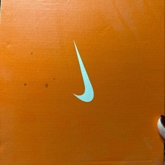 ナイキダイナモフリーPS(18cm)の画像