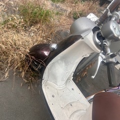 ビーノ　の画像