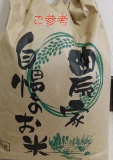 もみ米 コシヒカリ　　令和7年産