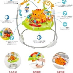 【美品】フィッシャープライス レインフォレスト ジャンパルーII の画像