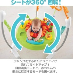 【美品】フィッシャープライス レインフォレスト ジャンパルーII の画像