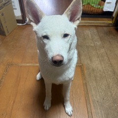 9ヶ月 男の子 人が大好き