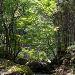 テントサウナの接客業務の画像