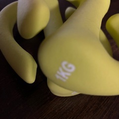 ダンベル 1kgの画像