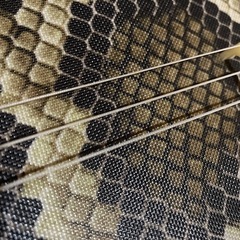 三味線セット✳︎三線✳︎美品✳︎（ケース付き）の画像