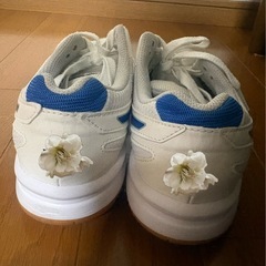 体育館シューズ　（八日市高校）の画像