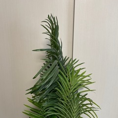 フェイクグリーン　南国風の画像