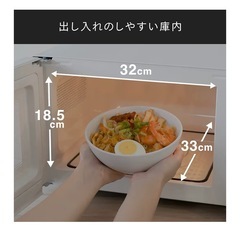 TWINBIRD電子レンジ DR-LD20Wの画像