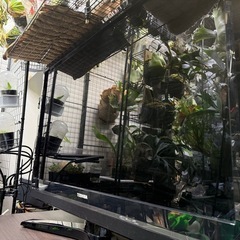 【訳あり】REGZA 37R1 [37インチ]の画像