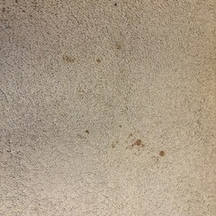 カーペットの画像