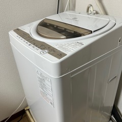 東芝洗濯機AW-6GM1の画像